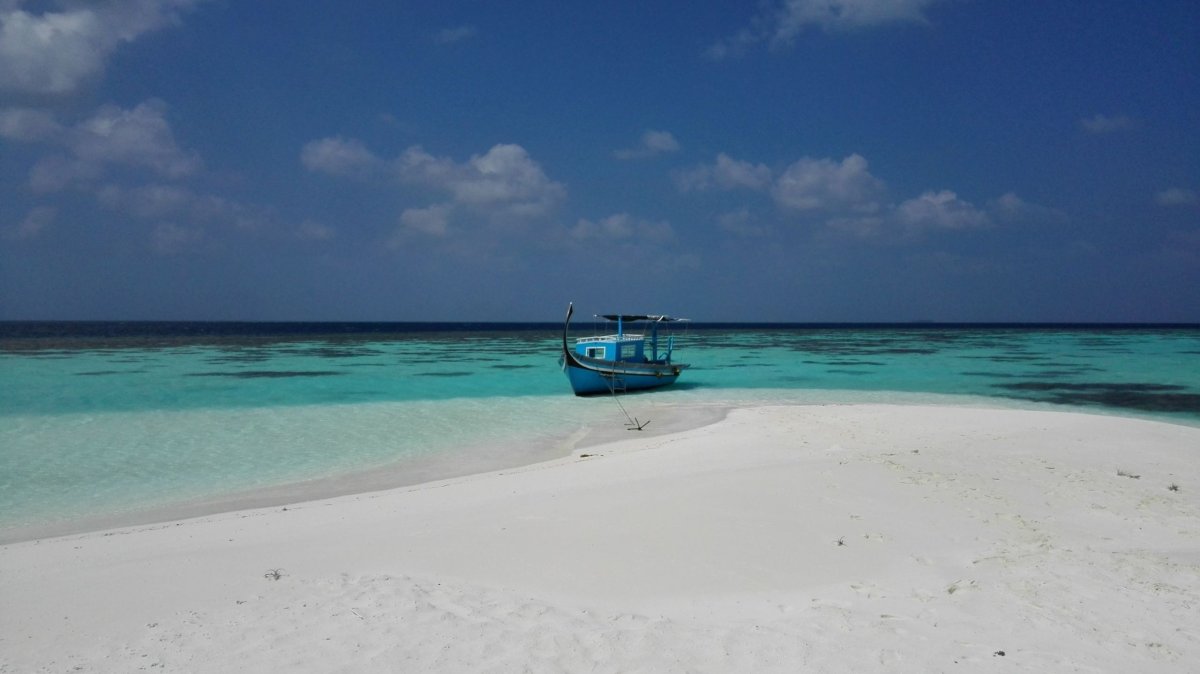 piknik, sandbank