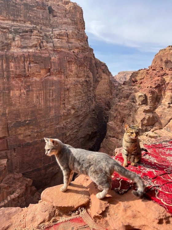 číči maj libový výhledy