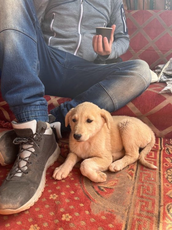 náš pupík pocestný