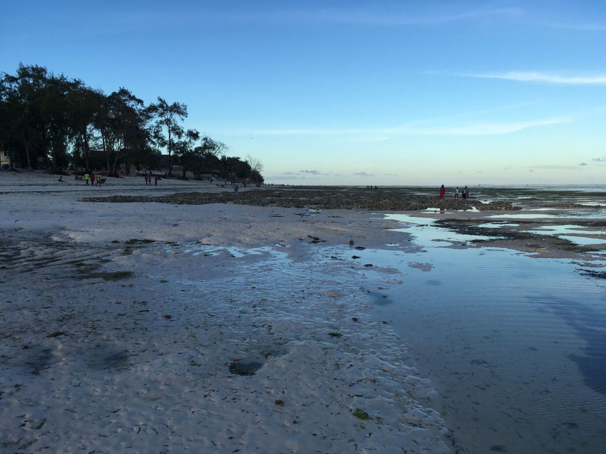 Makunduchi při odlivu