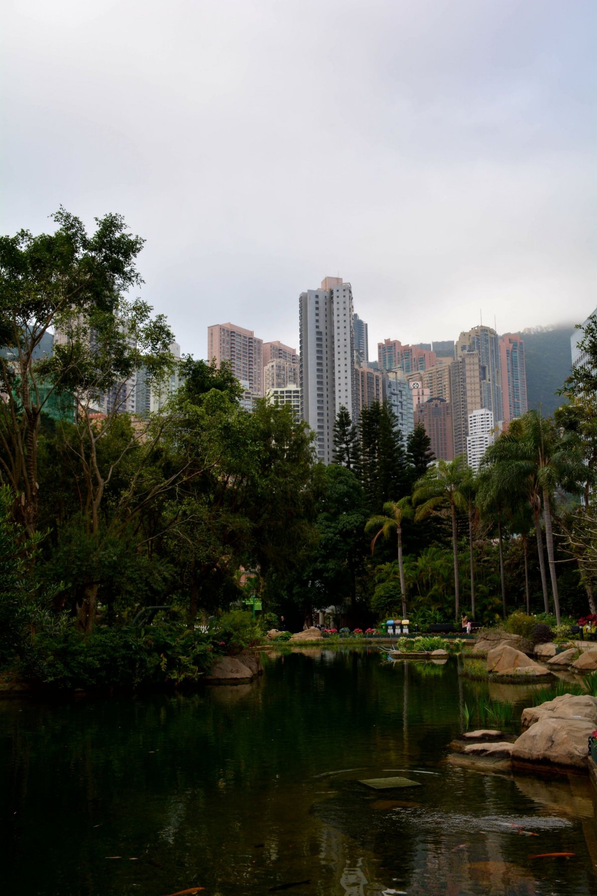 Mrakodrapy z Hong Kong parku 