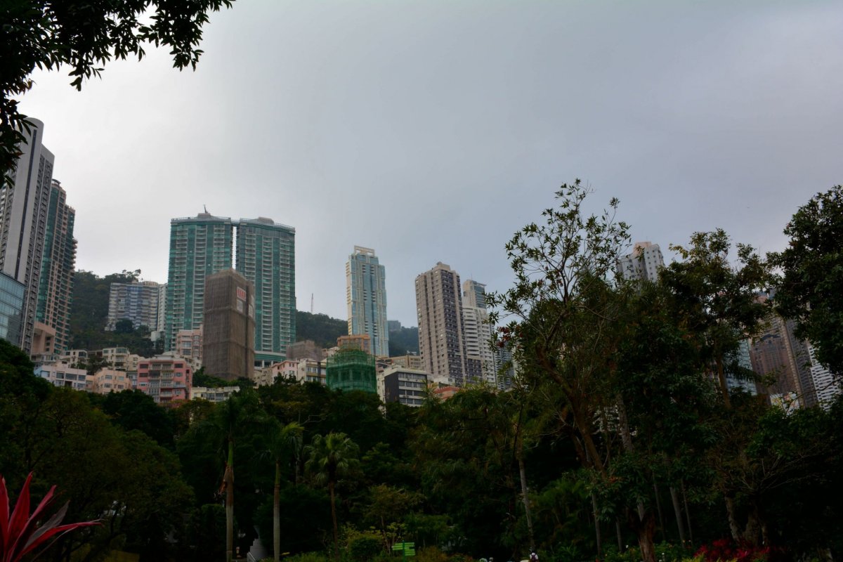 Mrakodrapy z Hong Kong parku 