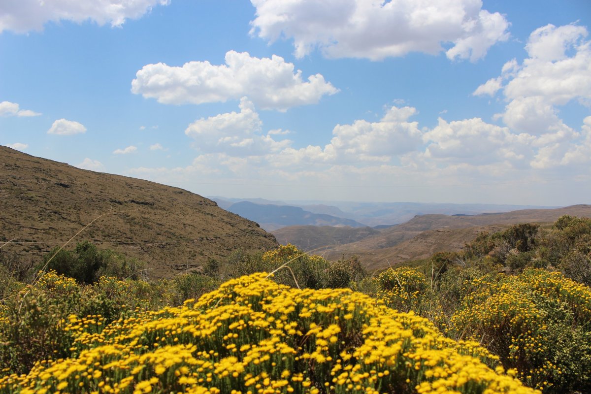 Krajina v Lesothu