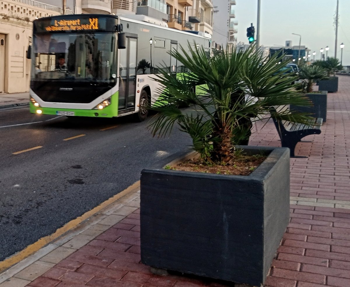 Bus Malta 