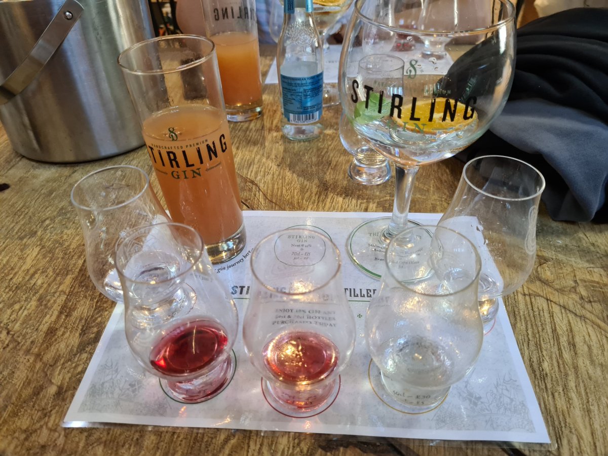 Degustace ginů