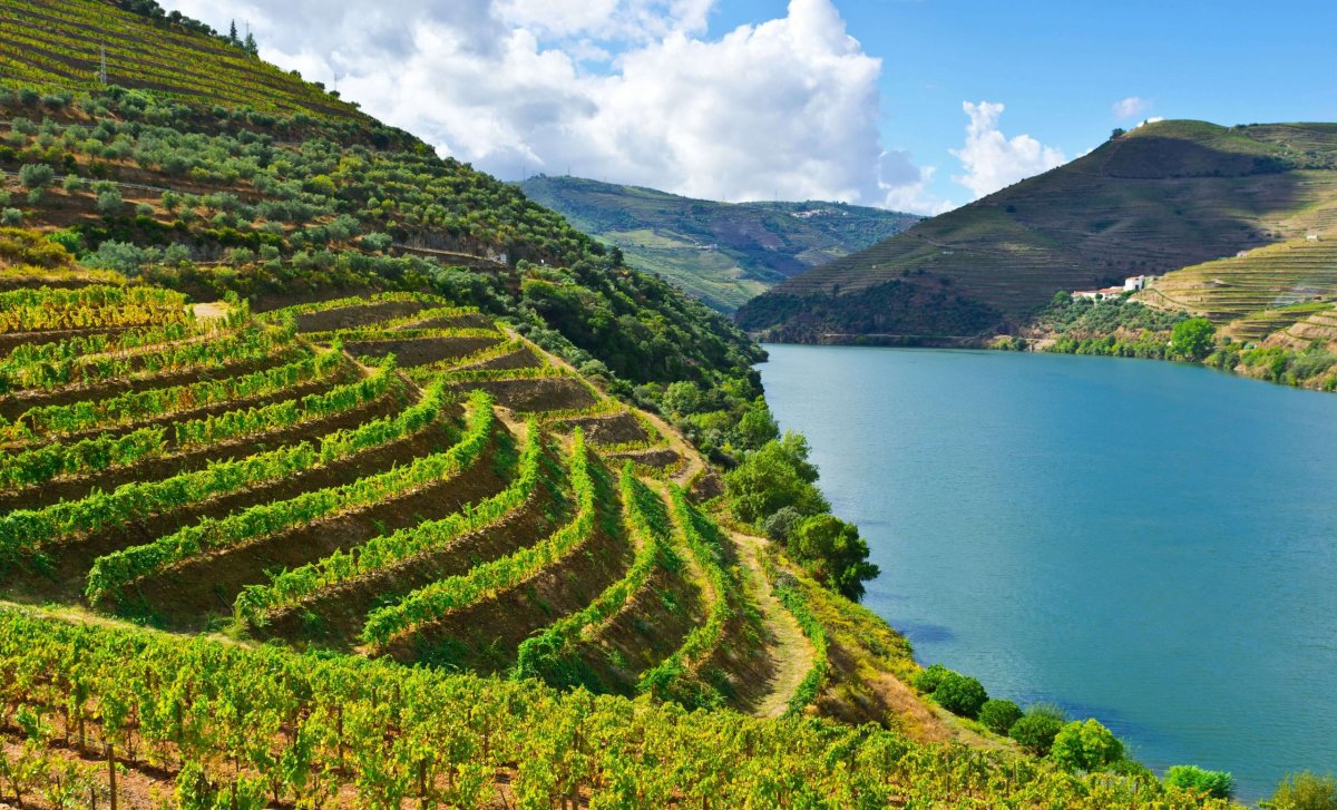 Údolí řeky Douro