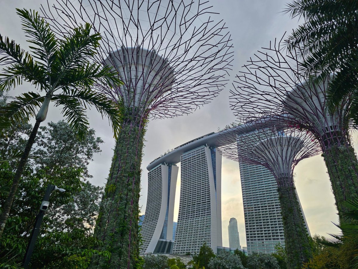 Budova Marina Bay Sands při pohledu z Gardens by the Bay