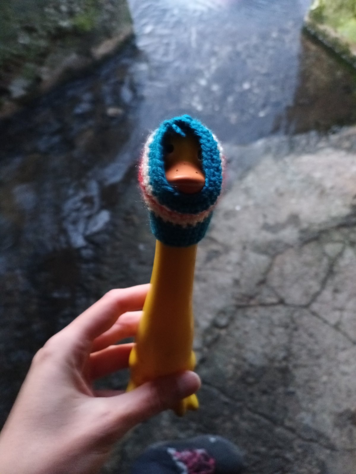 Kdože je ten Adam? 🤔