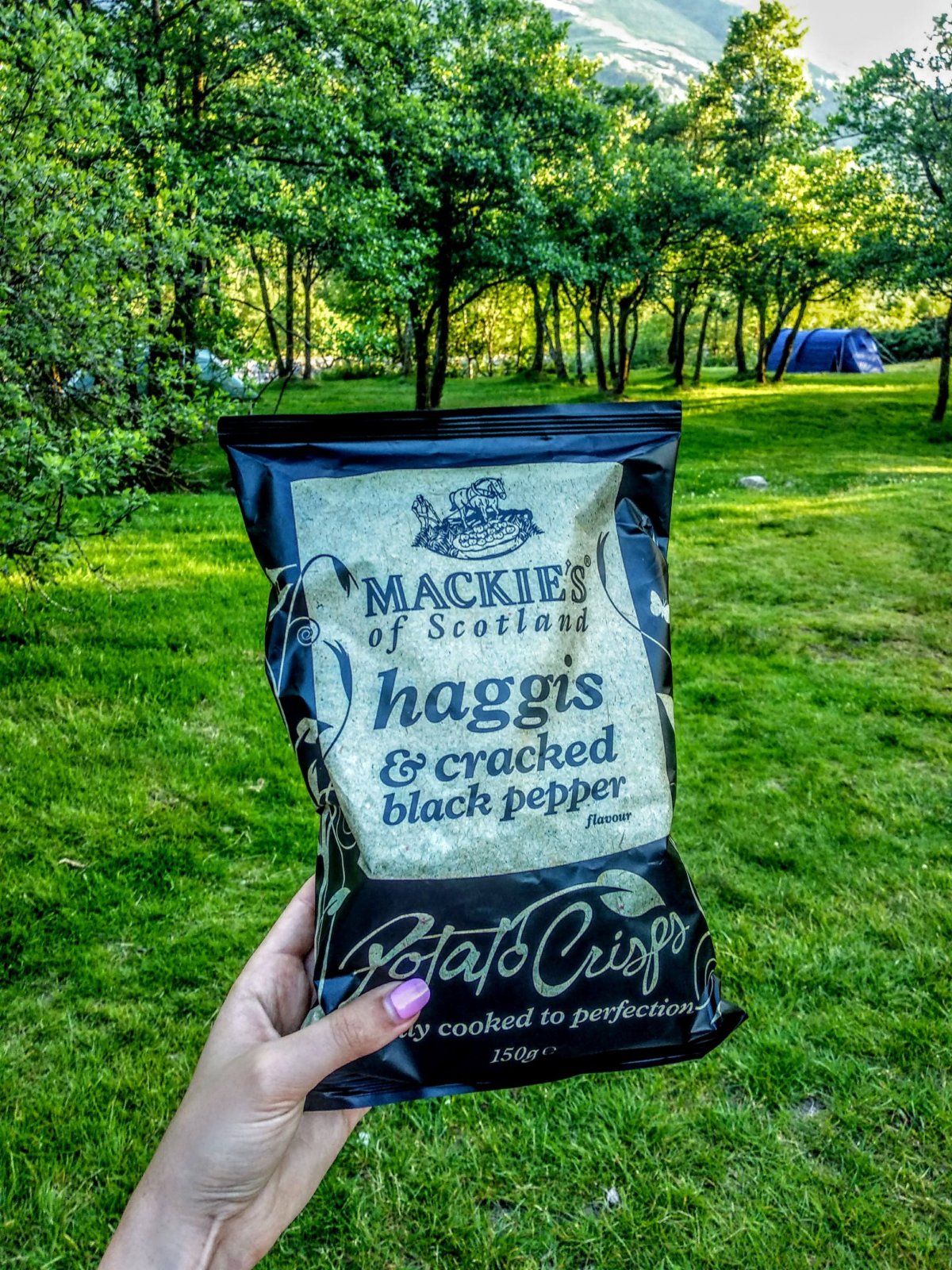 Chipsy s příchutí Haggis