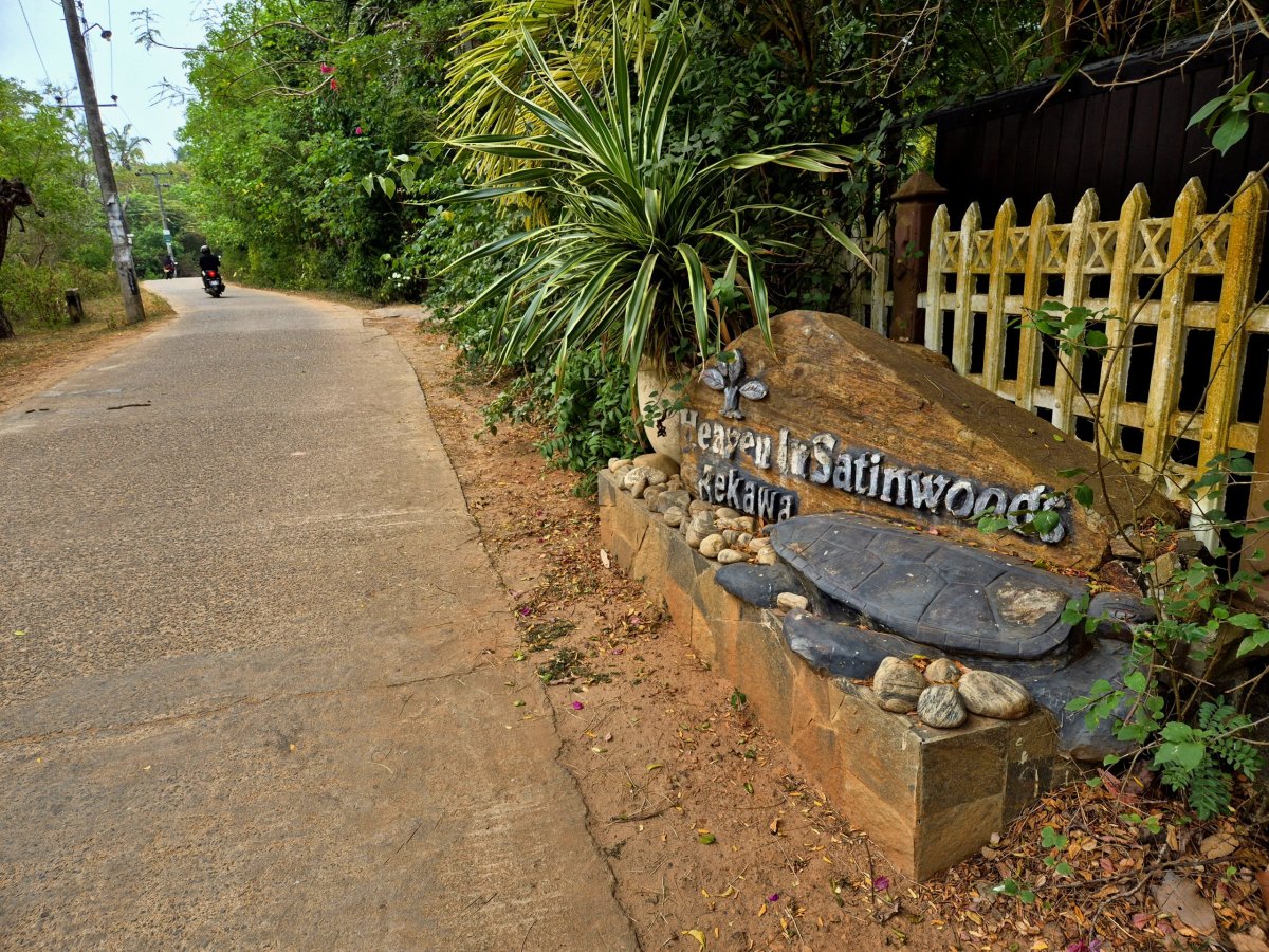 Heaven in Satinwoods