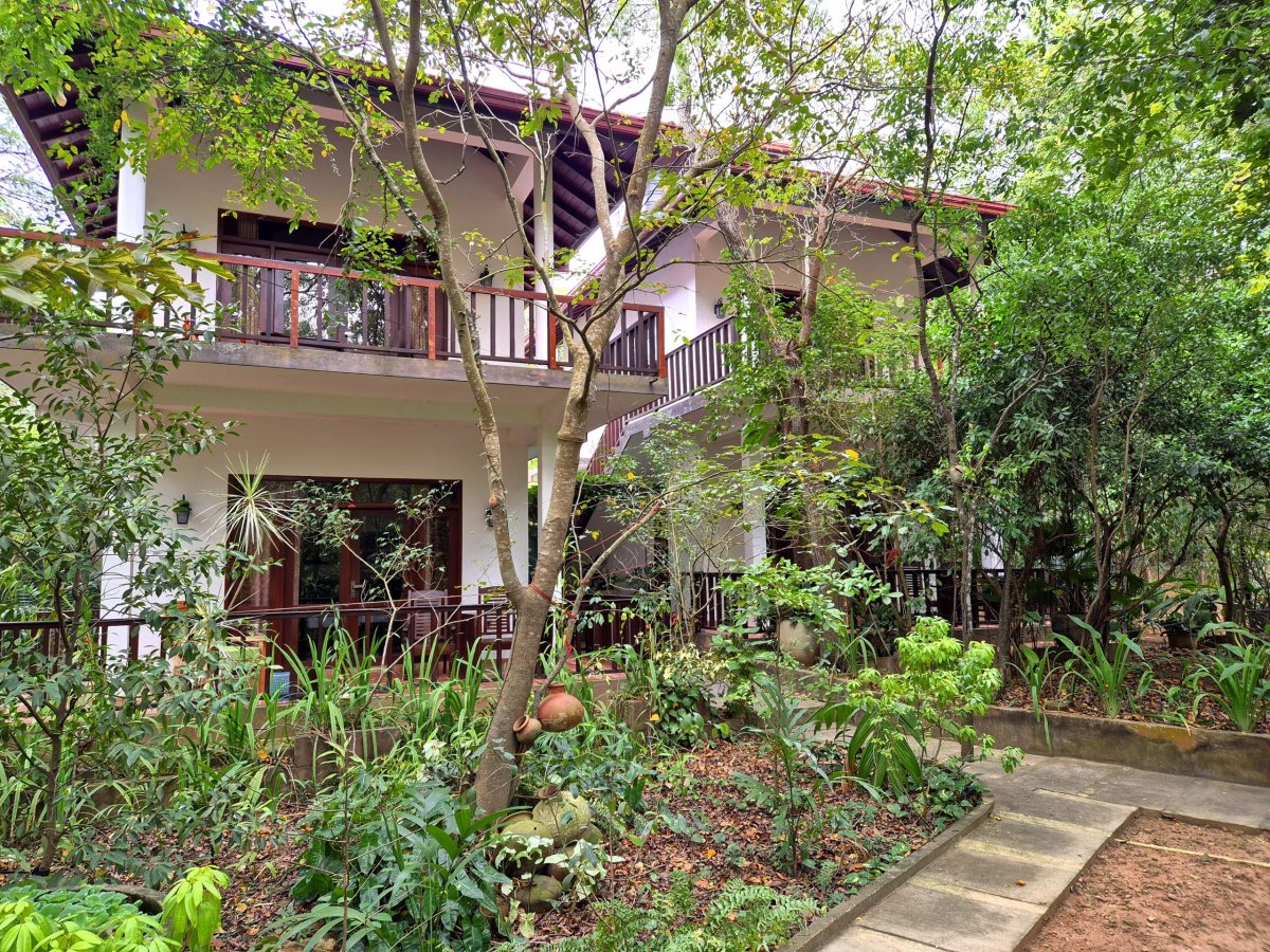 Heaven in Satinwoods