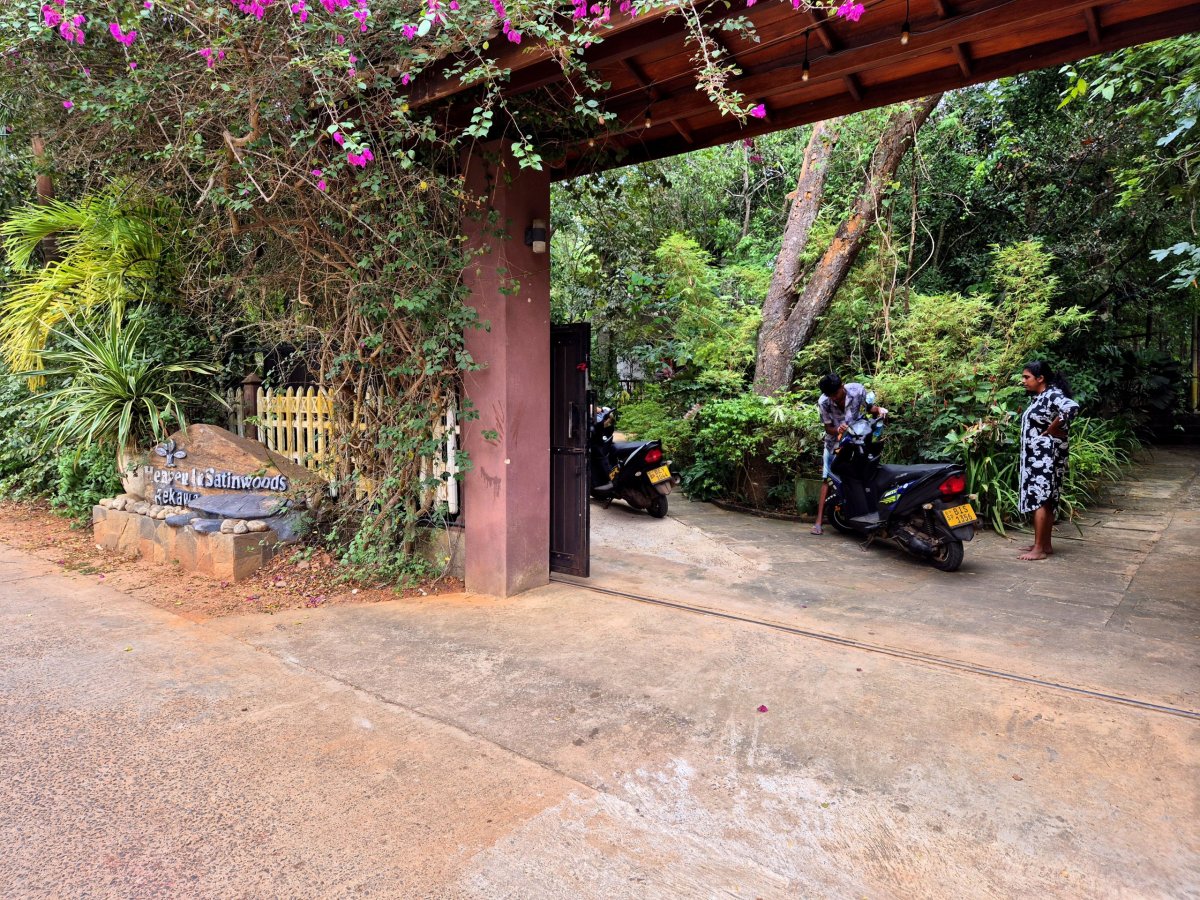 Heaven in Satinwoods