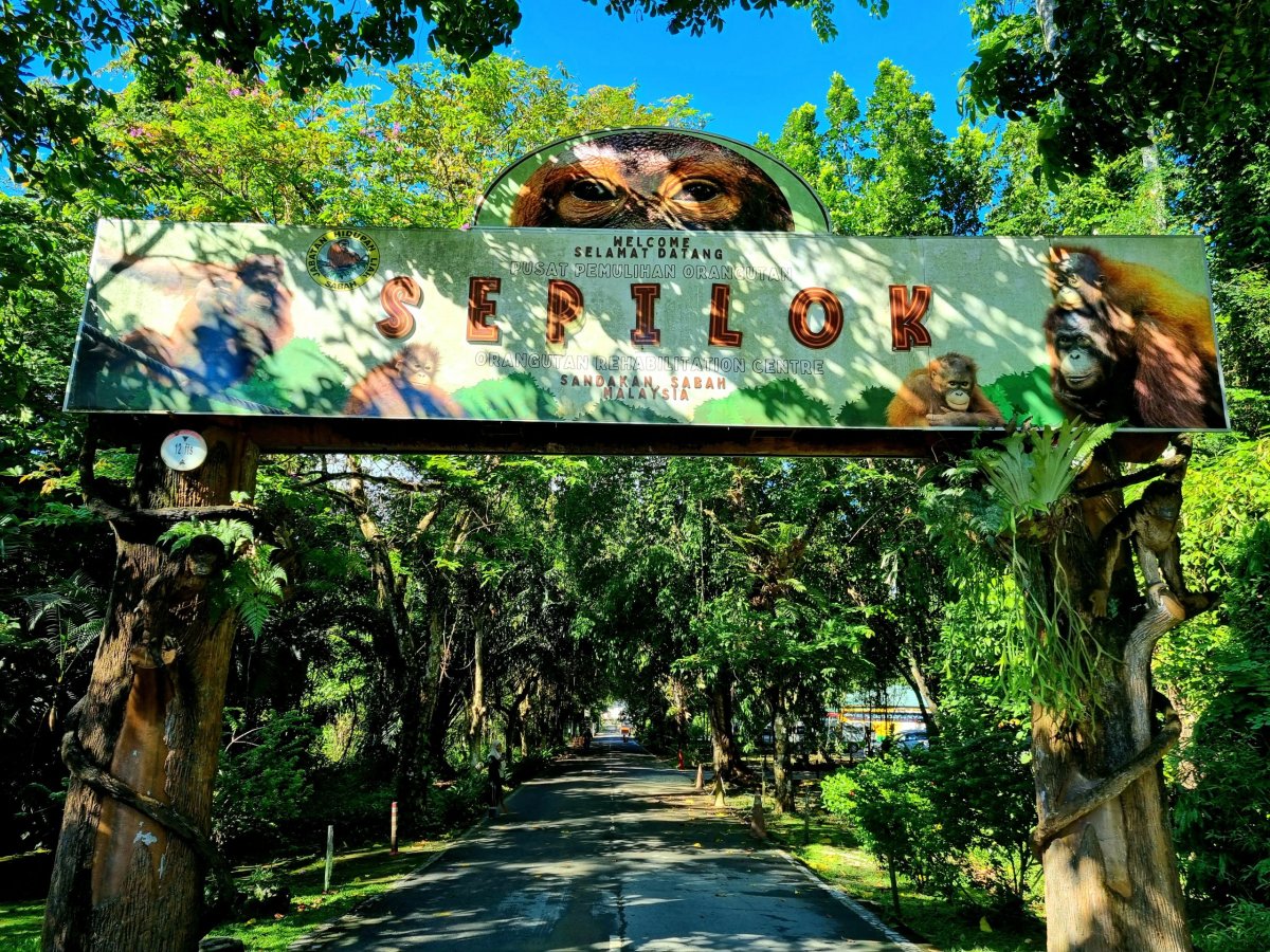 Sepilok Orangutan Rehabilitation Centre