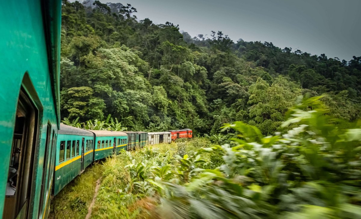Vlak na Madagaskaru