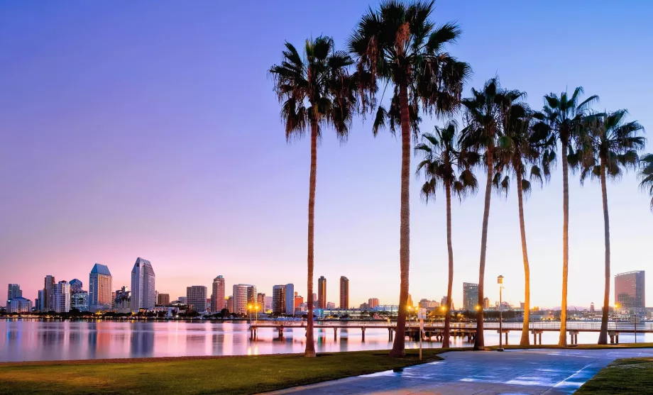 San Diego palmy