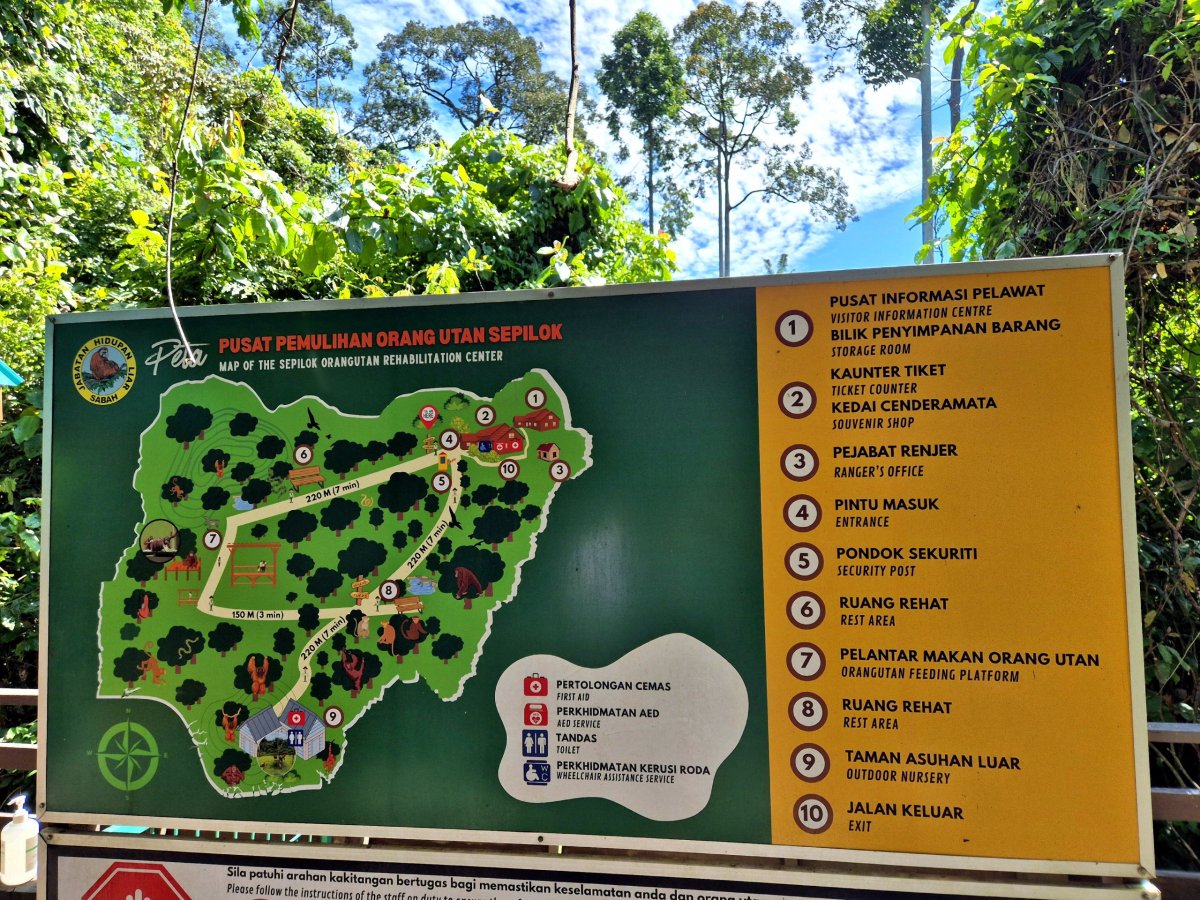 Sepilok Orangutan Rehabilitation Centre
