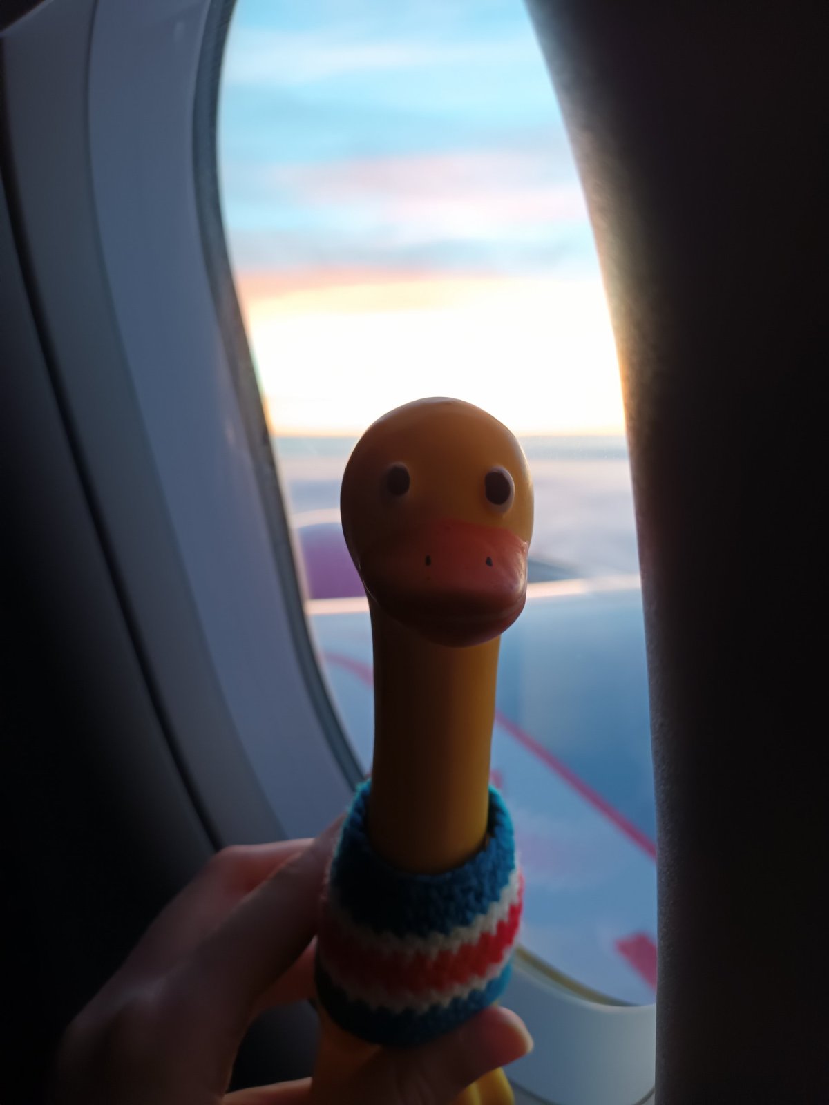 Islandské sluníčko v zimě rádo lenoší.. jako já!