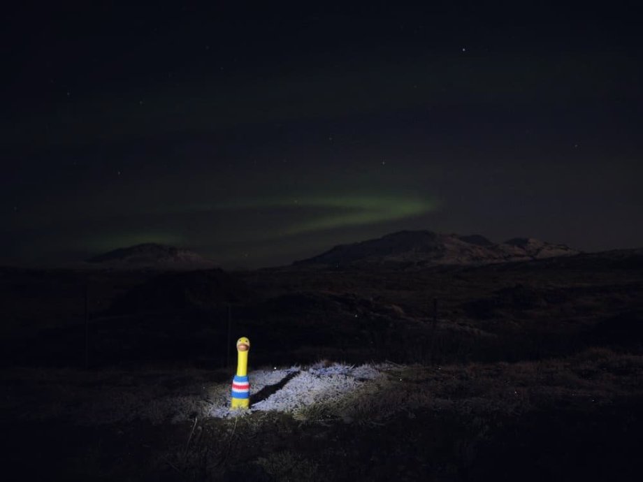 I malá kachnička má své sny..