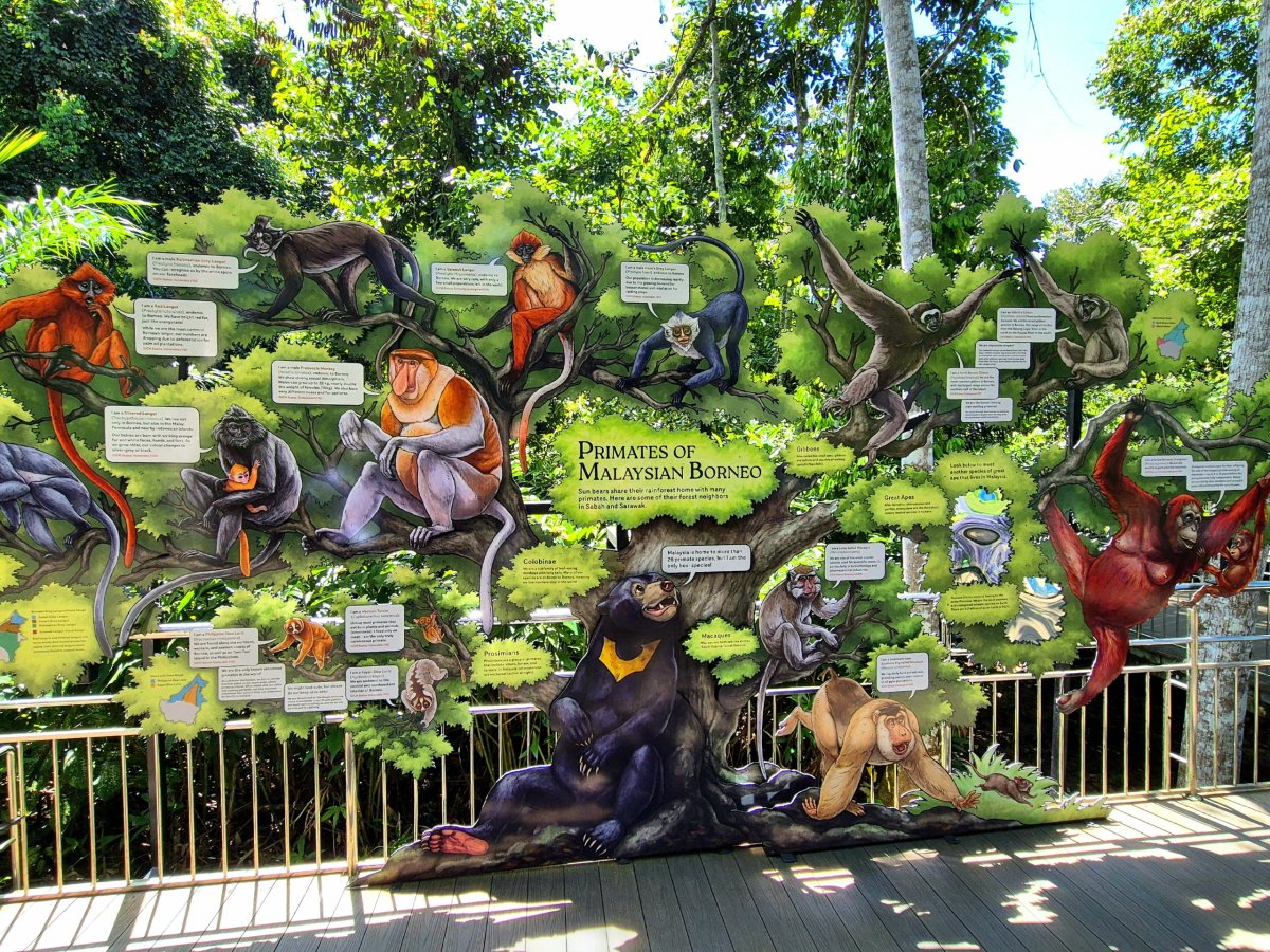 Bornean Sun Bear Conservation Centre