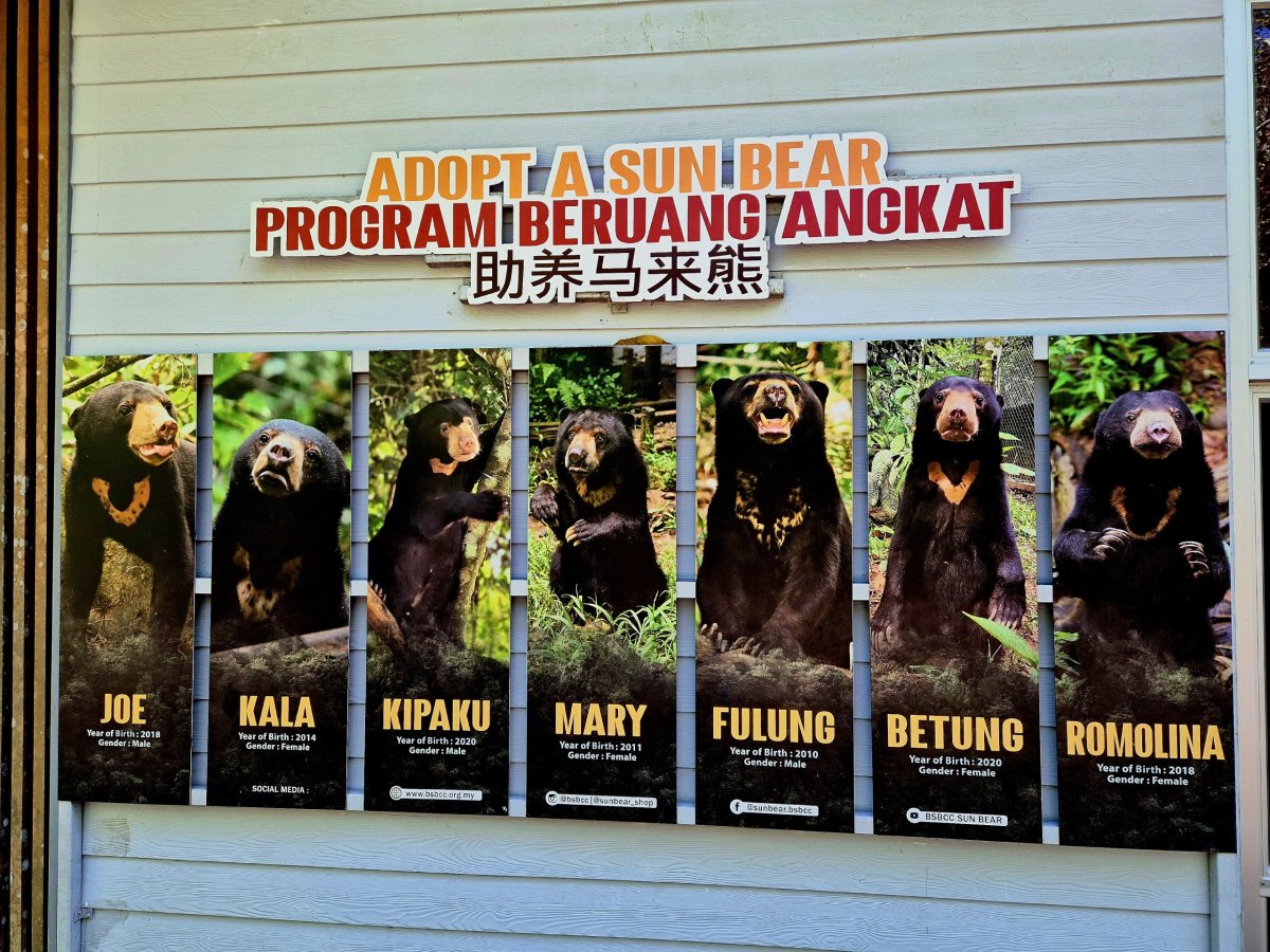 Bornean Sun Bear Conservation Centre