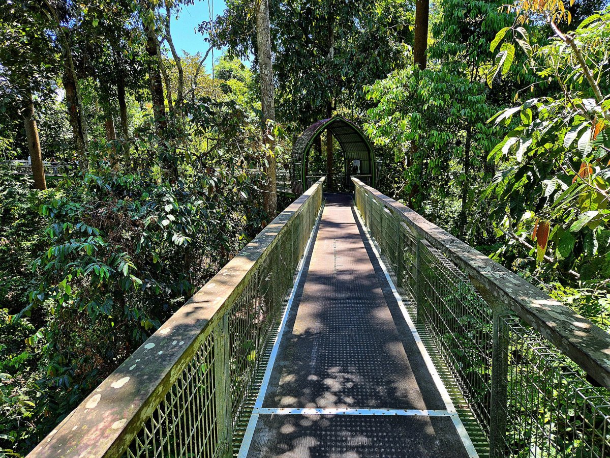 Bornean Sun Bear Conservation Centre
