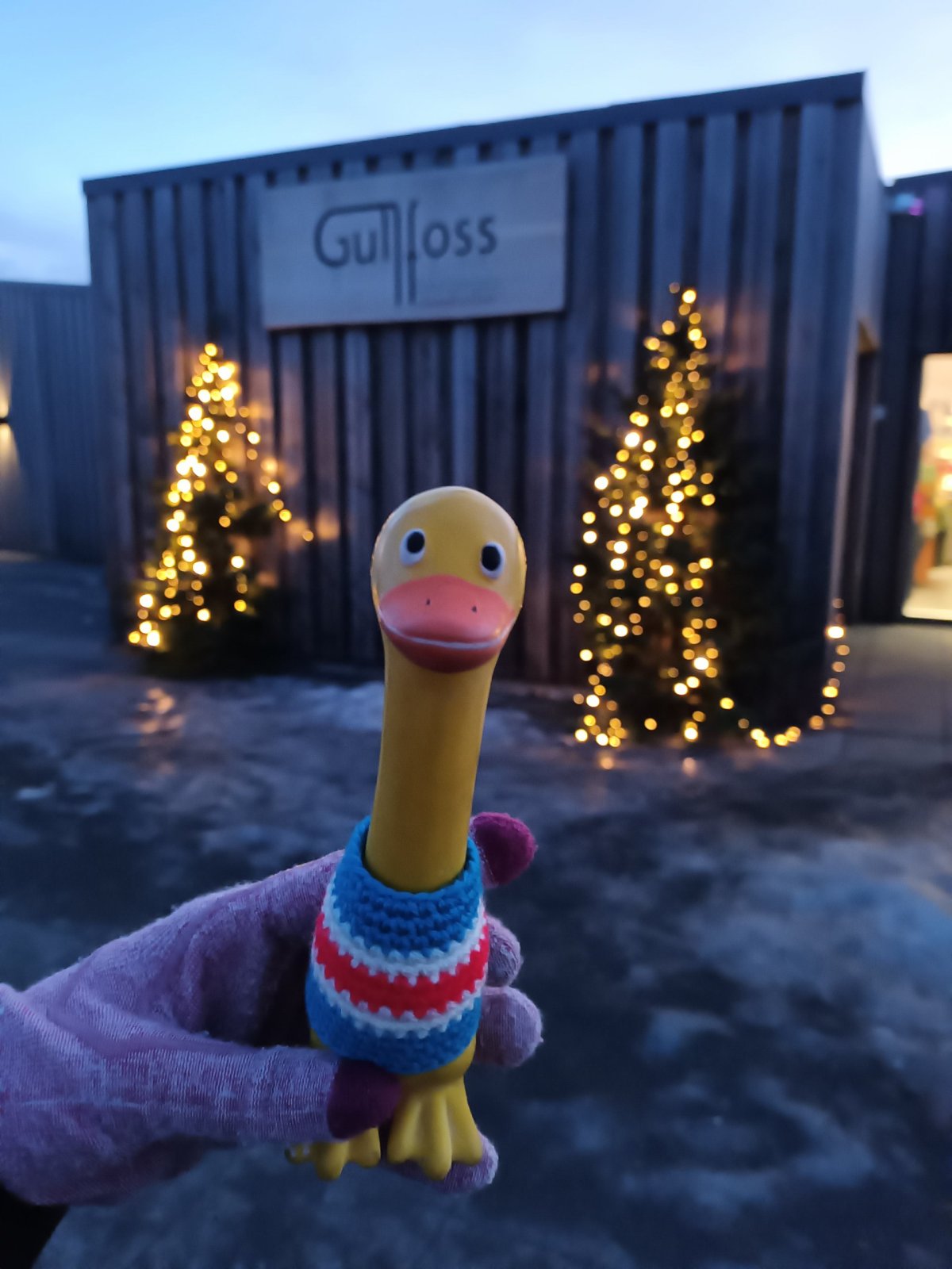 Škoda, že nemám v zadečku žárovičku jako světluška