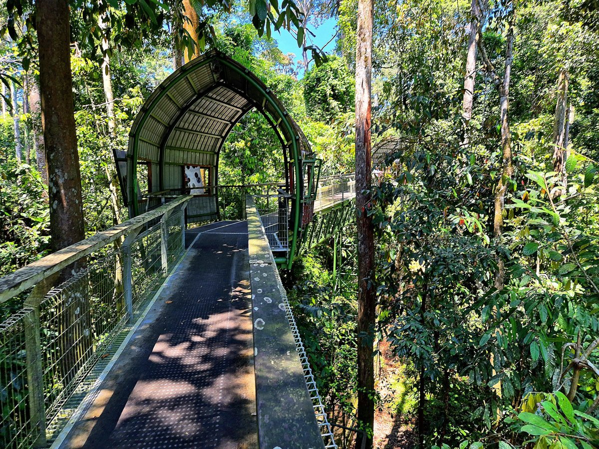 Bornean Sun Bear Conservation Centre