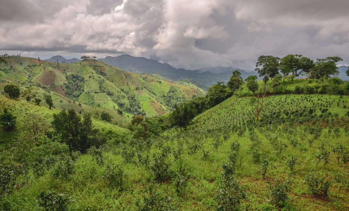 Kalaw Mountains