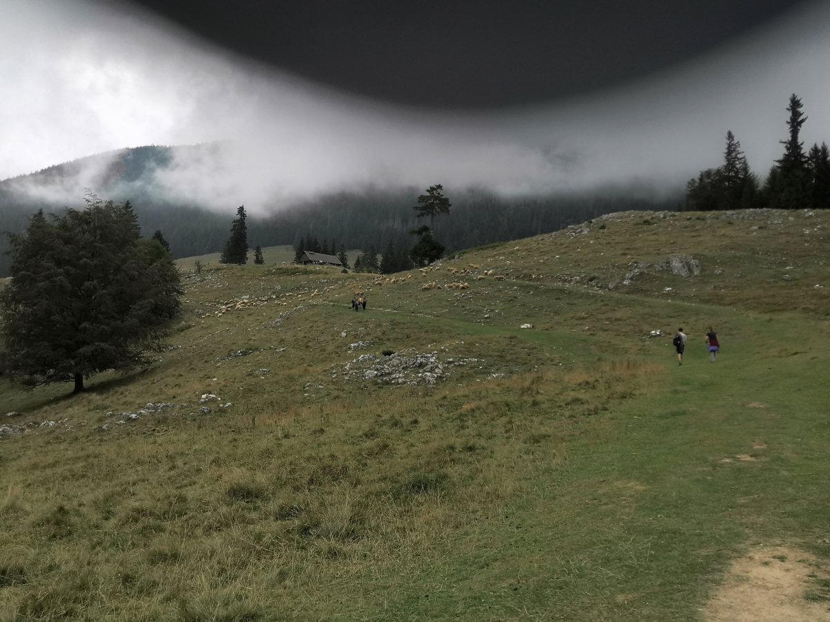 Horská louka po cestě k chatě