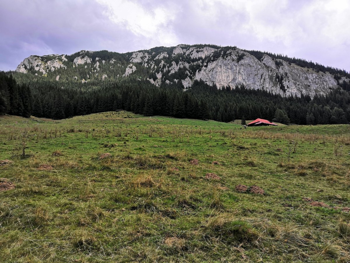 Horská louka s pasteveckou boudou