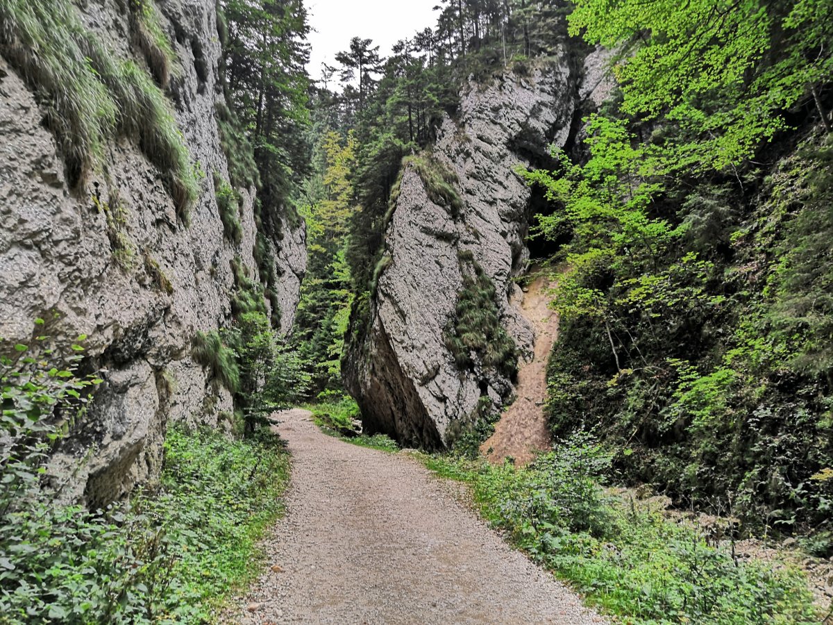 Soutěska Prapastiile Zarnestilor