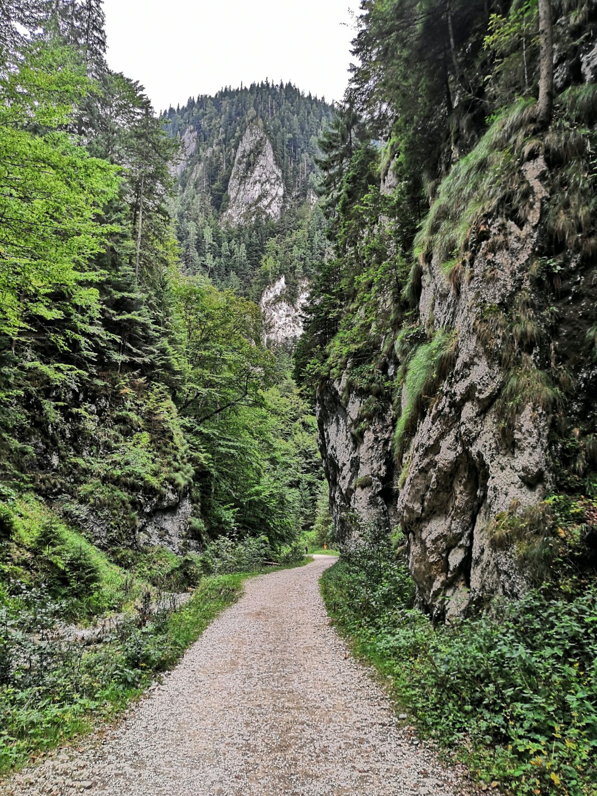 Soutěska Prapastiile Zarnestilor