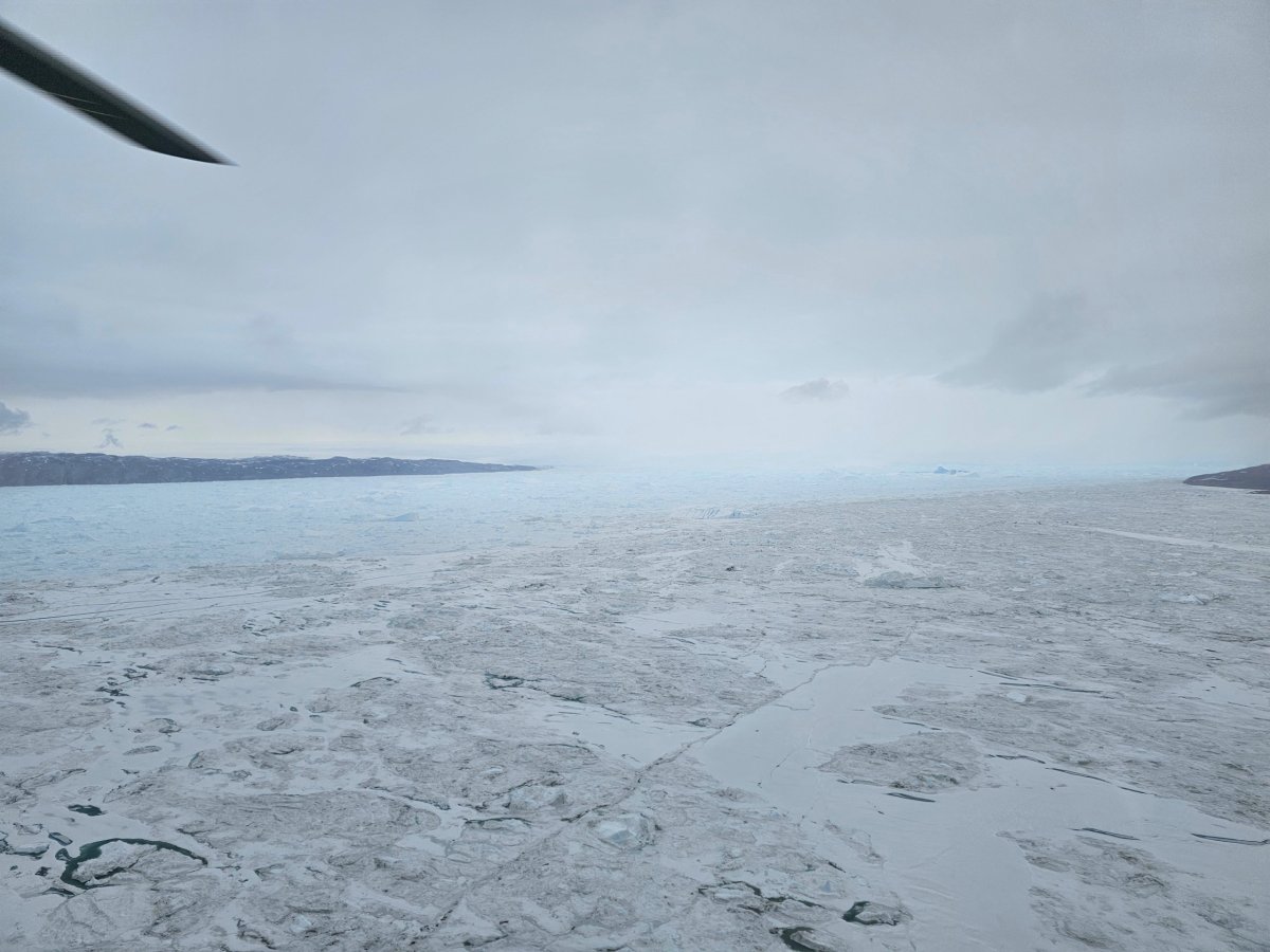 Kangia Helicopter Tour