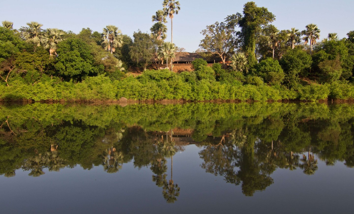 Janjanbureh, Gambie vše, co potřebujete vědět