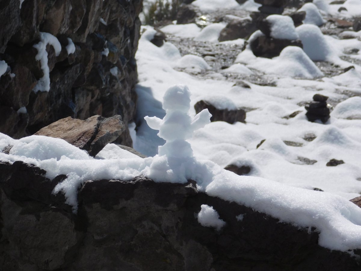 Peruánský sněhuláček