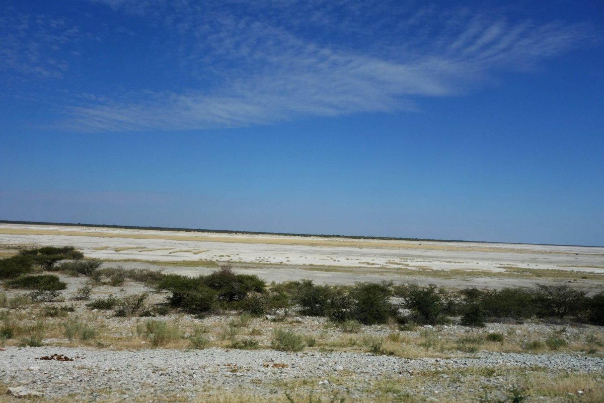 Centrální část Botswany vyplňuje solná pláň