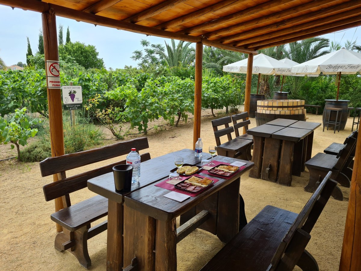 Výhled na vinohrad a neskutečný klid a ticho