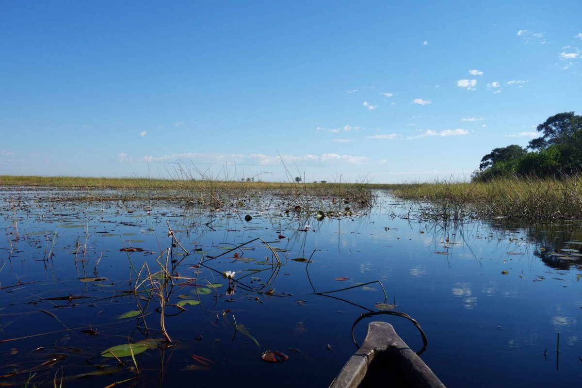Plavba na mokoru po slepém rameni Okavanga