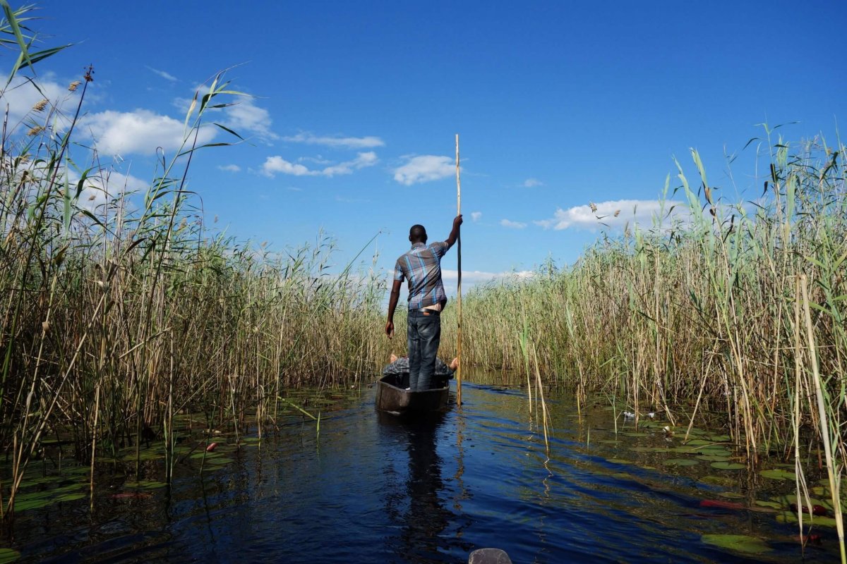 Plavba v mokoru po deltě Okavanga