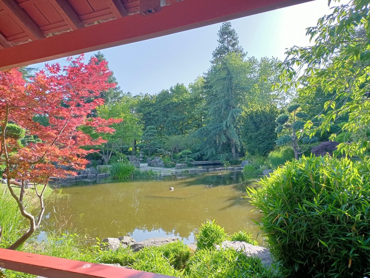 Oficiálně Ile de Versailles, v praxi japonská zahrada