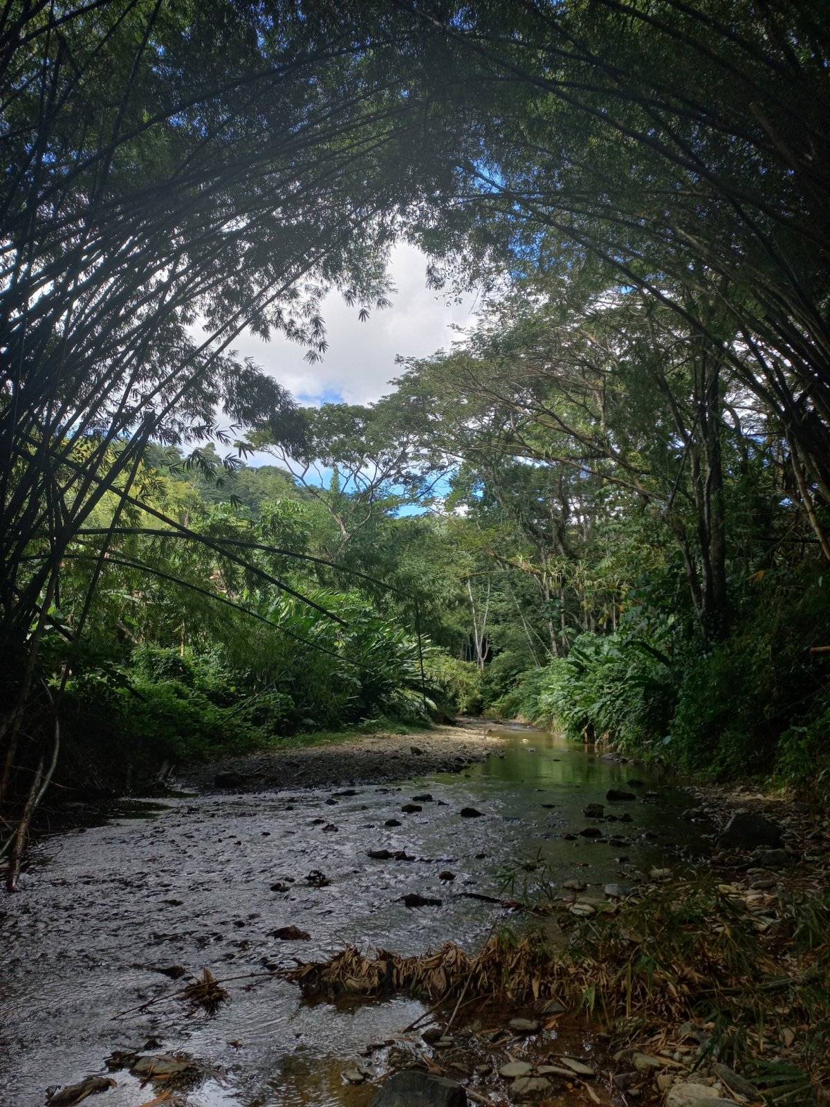 cesta k Agryle falls