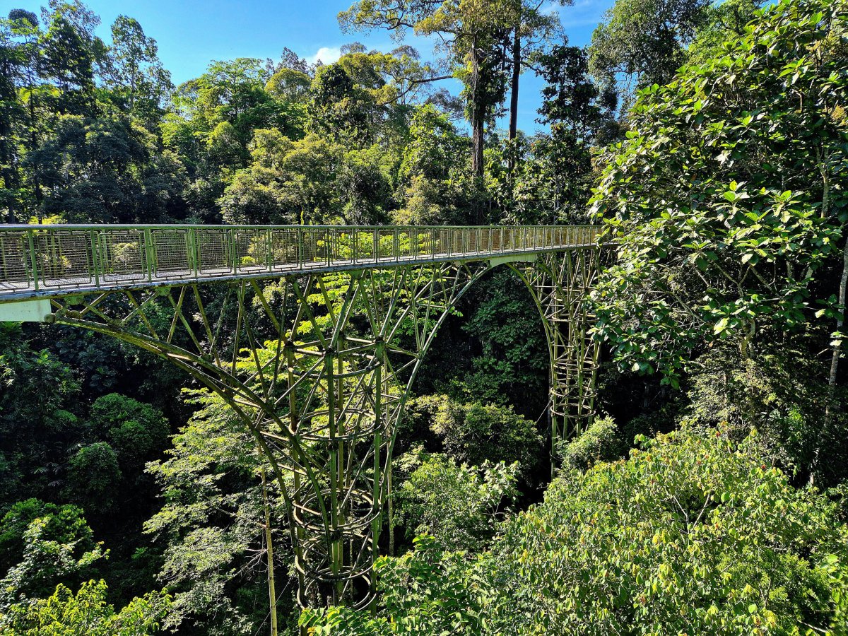 Rainforest Discovery Centre