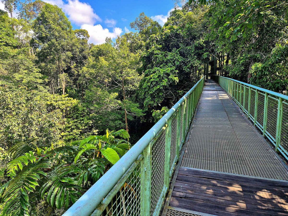 Rainforest Discovery Centre