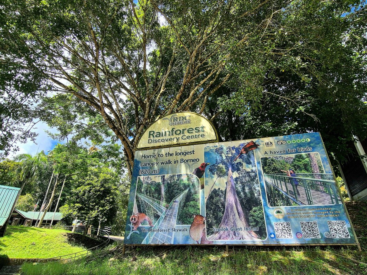 Rainforest Discovery Centre