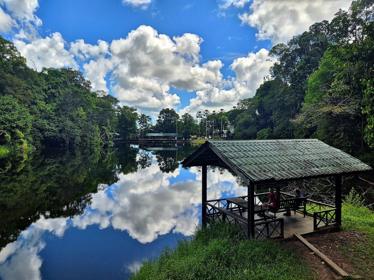Rainforest Discovery Centre