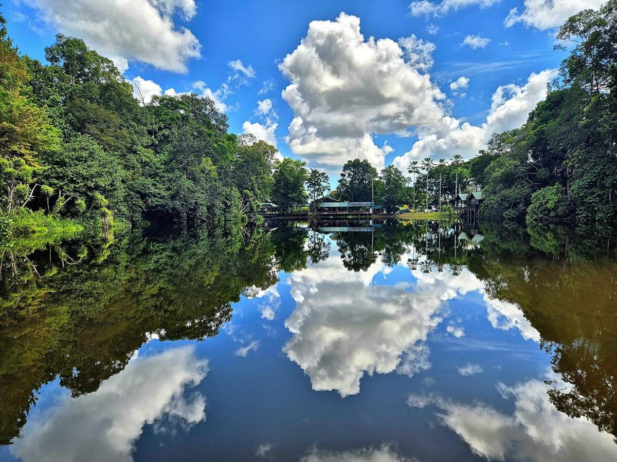 Rainforest Discovery Centre