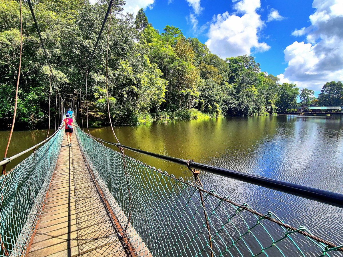 Rainforest Discovery Centre