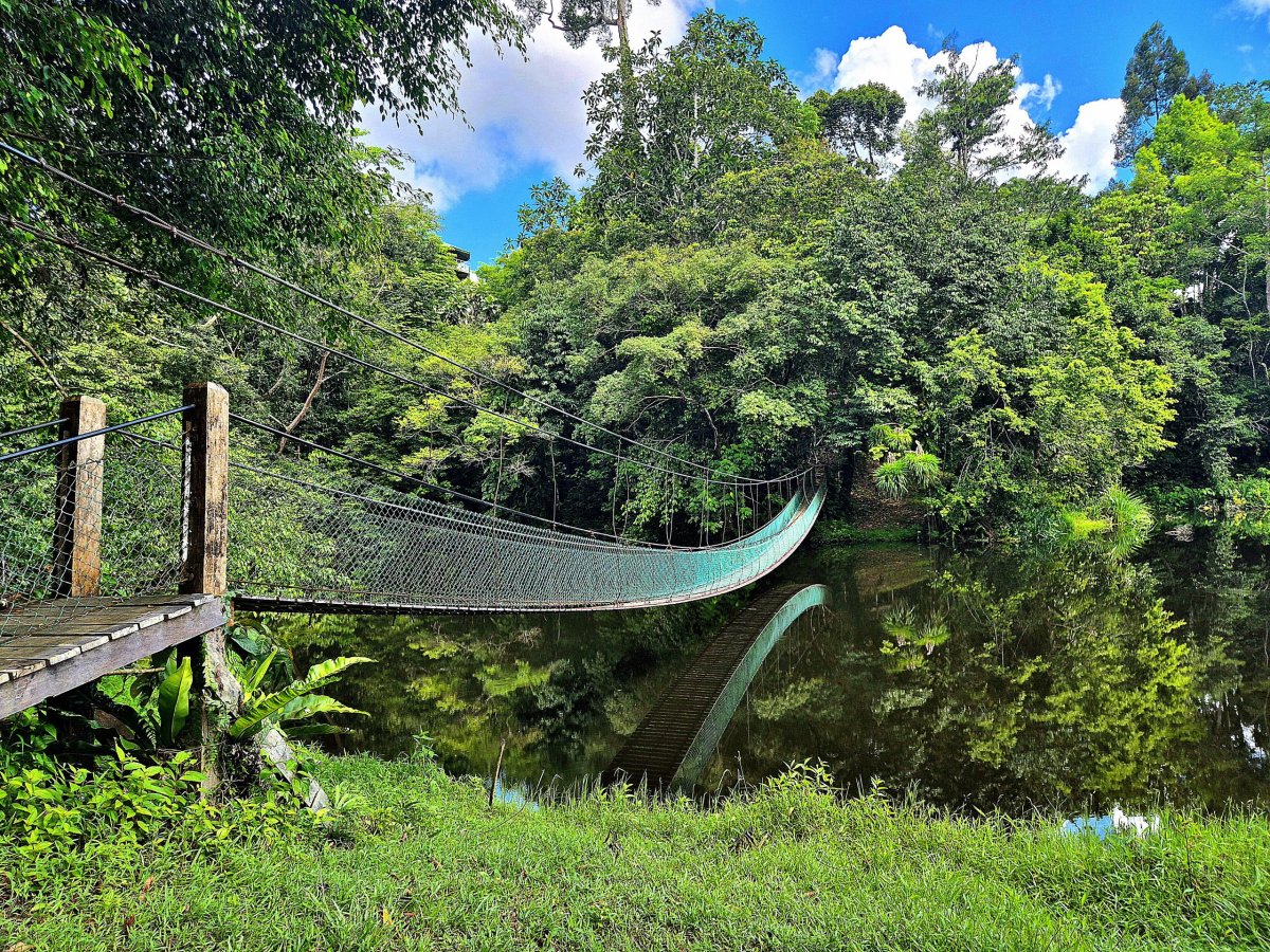 Rainforest Discovery Centre