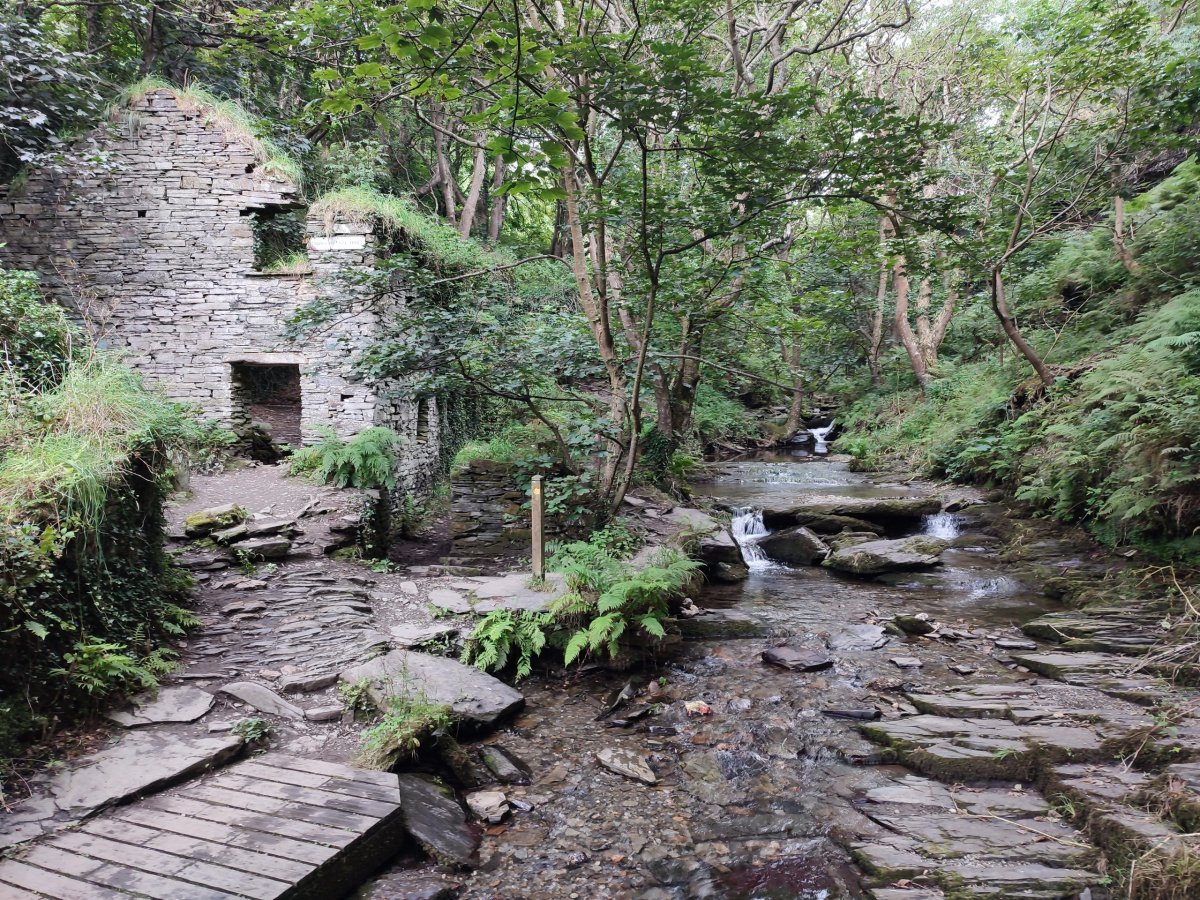 Trewethet mill