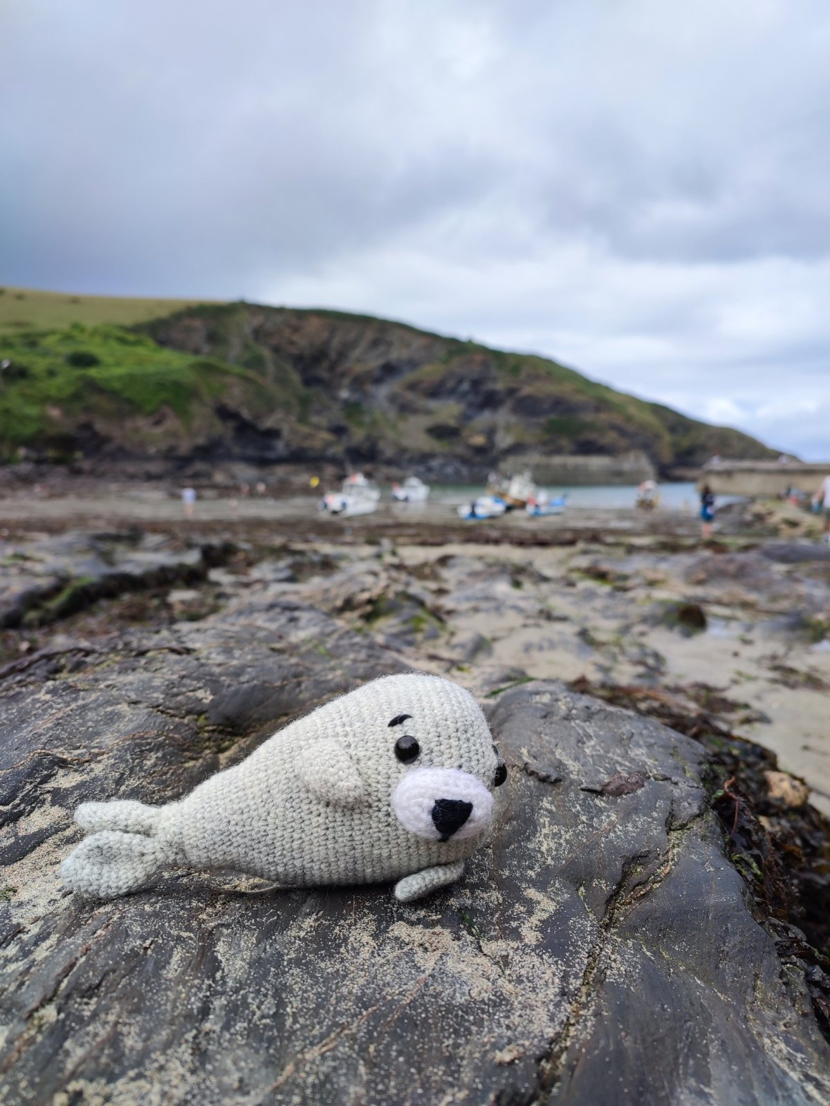 Čumáček byl taky v Port Isaacu